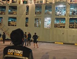 Bea Cukai Pangkalan Bun Kawal Impor 1.919 Ekor Sapi Australia untuk Perkuat Ketahanan Pangan